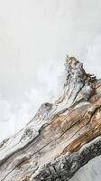 Closeup of a white color 5x7 inches greeting card on log, white background, boho style photo