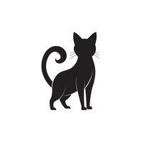 White Background Cat Image vector