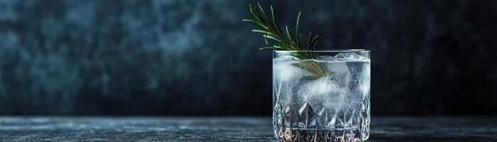 A minimalist composition of a highball glass, gin tonic with a garnish of rosemary, against a dark, textured backdrop, panoramic space above for copy photo