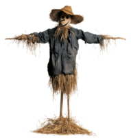 Scarecrow in a field during daylight hours, cut out - stock . png