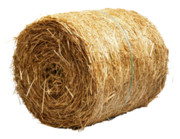 Hay bale resting in a sunny field during autumn, cut out - stock . png