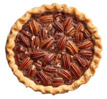 Homemade pecan pie with golden crust on display, cut out - stock . png