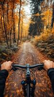 Riding a bicycle. First person perspective of hands on bike handlebars, autumn trail, PoV, vertical photo