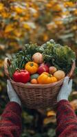First person vertical view of hands holding a basket with vegetables in autumn field. Fall, harvest photo