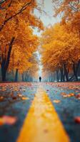 Walking on an autumn street lined with yellow trees. Fall season, PoV, low angle vertical image photo