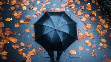 Top view of person under an umbrella, with autumn fallen leaves on the sidewalk. Fall season, rainy photo