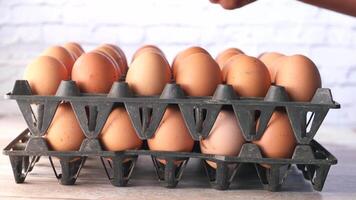 hand pick eggs from a plastic case on table video