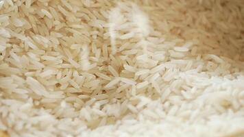 Closeup view of Raw White Rice Grains elegantly placed on a Soft Background for emphasis video
