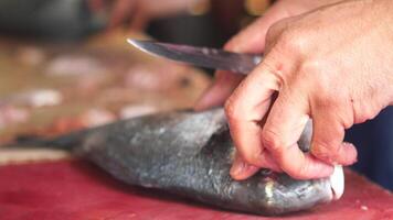 An Expert Hand Skillfully Preparing Fresh Fish with Various Delicious Cooking Techniques and Methods video
