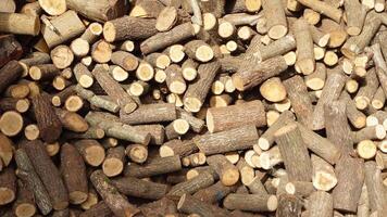Closeup image of sticks and twigs used for natural decoration to enhance a spaces aesthetics video