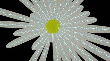 Botanical Floral Abstract Background Digital Rendering video