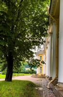 A peaceful scene featuring the elegant columns of a classical building nestled among lush green trees in a St. Petersburg park. The image captures the harmonious blend of architectural beauty and photo