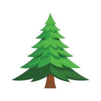 Fir tree flat illustration on white background vector