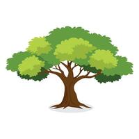 Elm tree flat illustration on white background. vector