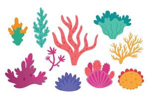 A vibrant illustration of a coral reef, showcasing a variety of colorful corals and marine life in a lively underwater scene illustration set on white background vector