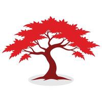 Japanese Maple tree flat illustration on white background. vector