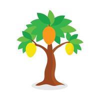 Mango tree flat illustration on white background. vector