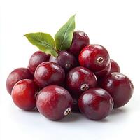 Cranberries isolated on white background with shadow. Cranberry fruit for thanksgiving dinner during autumn fall harvest photo