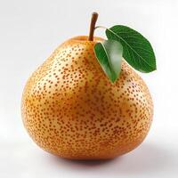 Asian pear isolated on white background with shadow. Juicy and ripe autumn fall harvest of asian pear photo