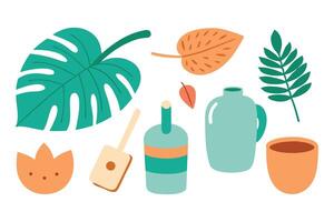 Monstera leaf with other object illustration set on white background. vector