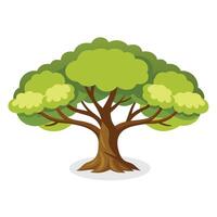 Walnut tree flat illustration on white background vector