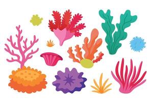 vibrant underwater coral illustration set on white background. vector