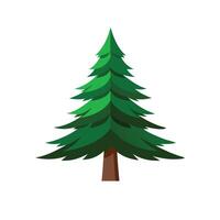 Pine tree flat illustration on white background vector