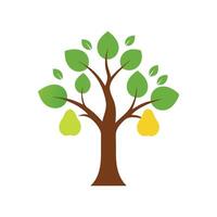Minimal Pear tree flat illustration on white background vector