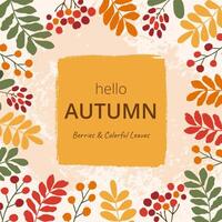 Square greeting card with typography Hello Autumn. Hand drawn colorful leaves of rowan and berries on beige grunge textured backdrop. For poster, background, social media, cover, label vector
