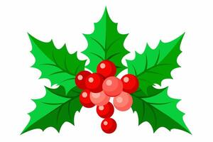 Elegant Christmas Holly Graphics for Holiday Design Projects Ideal for Greeting Cards, Logos, Illustrations, Gift Tags, and Unique Seasonal Branding to Add a Touch of Festive Tradition vector