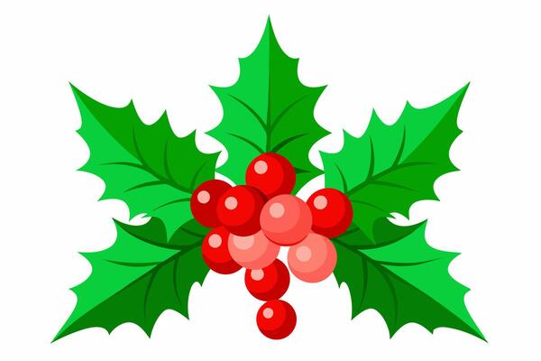 Elegant Christmas Holly Graphics for Holiday Design Projects Ideal for Greeting Cards, Logos, Illustrations, Gift Tags, and Unique Seasonal Branding to Add a Touch of Festive Tradition