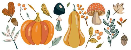 flat autumn harvest themed illustration with pumpkins, squash, mushrooms, acorns, leaves, and berries, showcasing colors and elements of fall season. Thanksgiving and Harvest Day set vector