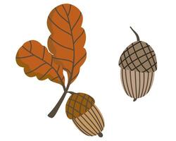 illustration of an acorn and oak leaf in flat style. Elements for autumn design in brown color. Natural floral clipart for cozy compositions on the theme of the harvest festival vector