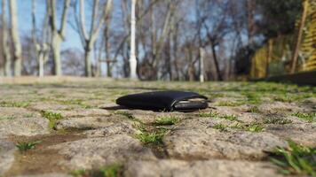 left wallet on the ground in a park video