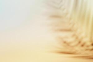 Natural palm leaves shadow on gradient paper background. Abstract neutral nature tropical backdrop. Soft light photo