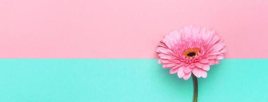 Elegant pink flower on geometrical paper banner. Summer holiday Backdrop for your design photo