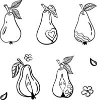 Pear hand drawn style. Food eco template for menu, pear jam and juice label, tea banner. illustration vector