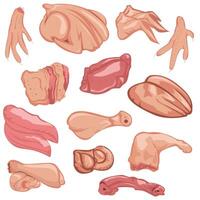 Assorted Chicken Raw Meat Cuts Illustration vector