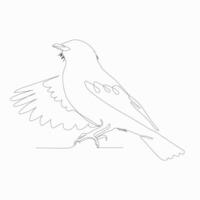 Bird drawing in one continuous line isolated on white background illustration minimal. vector