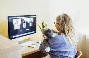 Young woman sits in front of computer monitor and talks via link. Fair haired girl with cute gray white cat in her arms communicates on link. photo