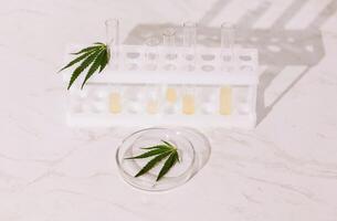 Laboratory test tubes with yellow liquid and a round glass medical container with a cannabis leaf on a beige background. Laboratory instruments with hemp leaves on a marble table. photo