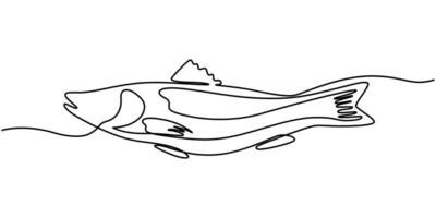 Sea fish in continuous line art drawing style vector