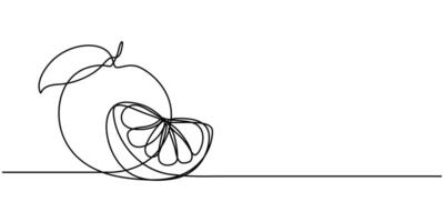 Continuous one line drawing of Orange vector