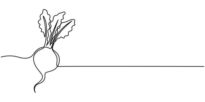 Beetroot in continuous line art drawing style vector