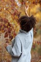 Back view of woman in warm sweater with curly hair touching leaf on tree in autumn garden or forest, photo