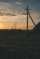 Supports of power lines extending into the distance into the field. Eevening photo