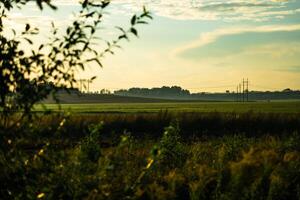 View of the field in the evening in the village. The clouds photo
