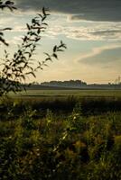 View of the field in the evening in the village. The clouds photo