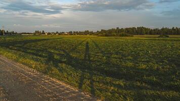The shadow of a man between the poles of power lines. In the evening at sunset photo