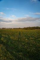 The shadow of a man between the poles of power lines. In the evening at sunset photo